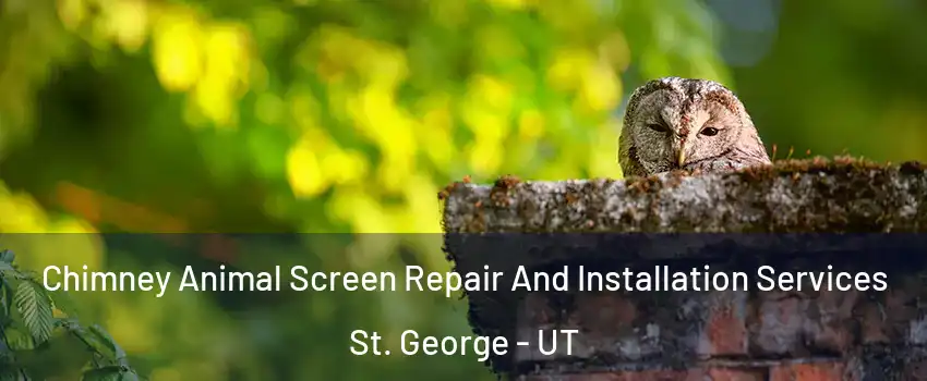  Chimney Animal Screen Repair And Installation Services St. George - UT