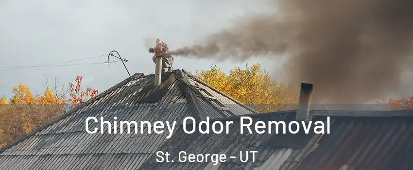  Chimney Odor Removal St. George - UT