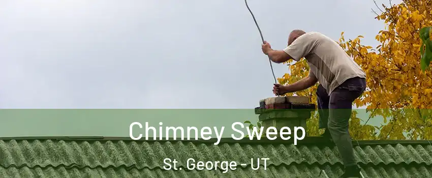  Chimney Sweep St. George - UT