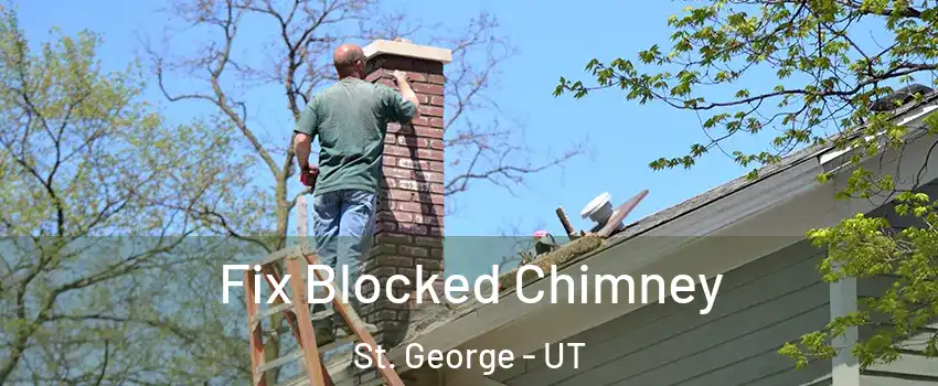  Fix Blocked Chimney St. George - UT