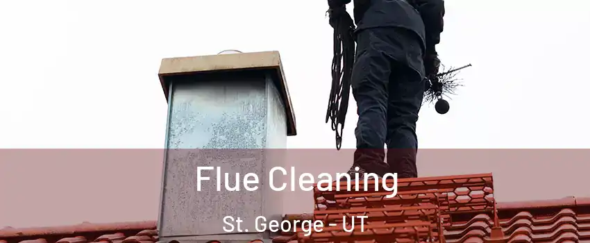  Flue Cleaning St. George - UT