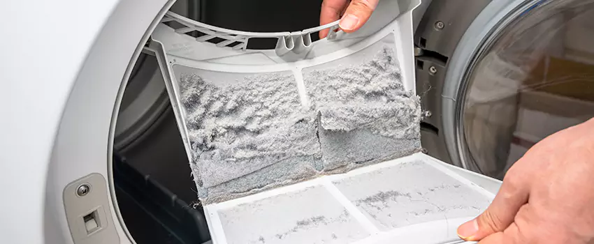 Best Dryer Lint Removal Company in St. George, Utah