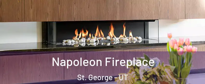  Napoleon Fireplace St. George - UT